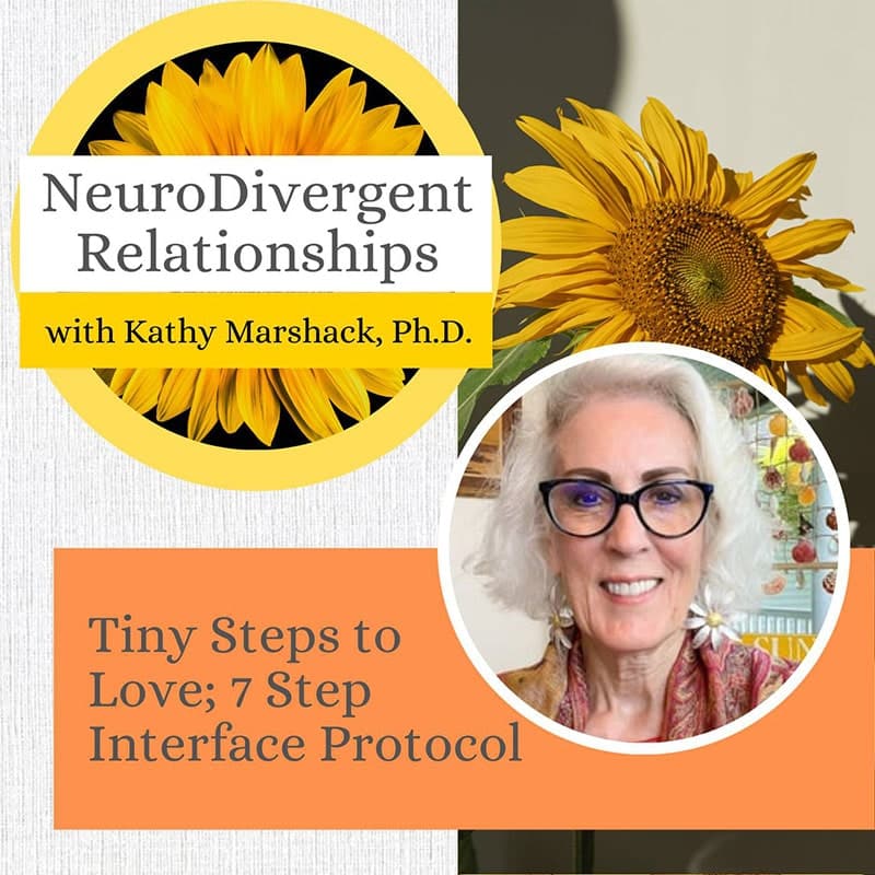 Tiny Steps to Love; 7 Step Interface Protocol